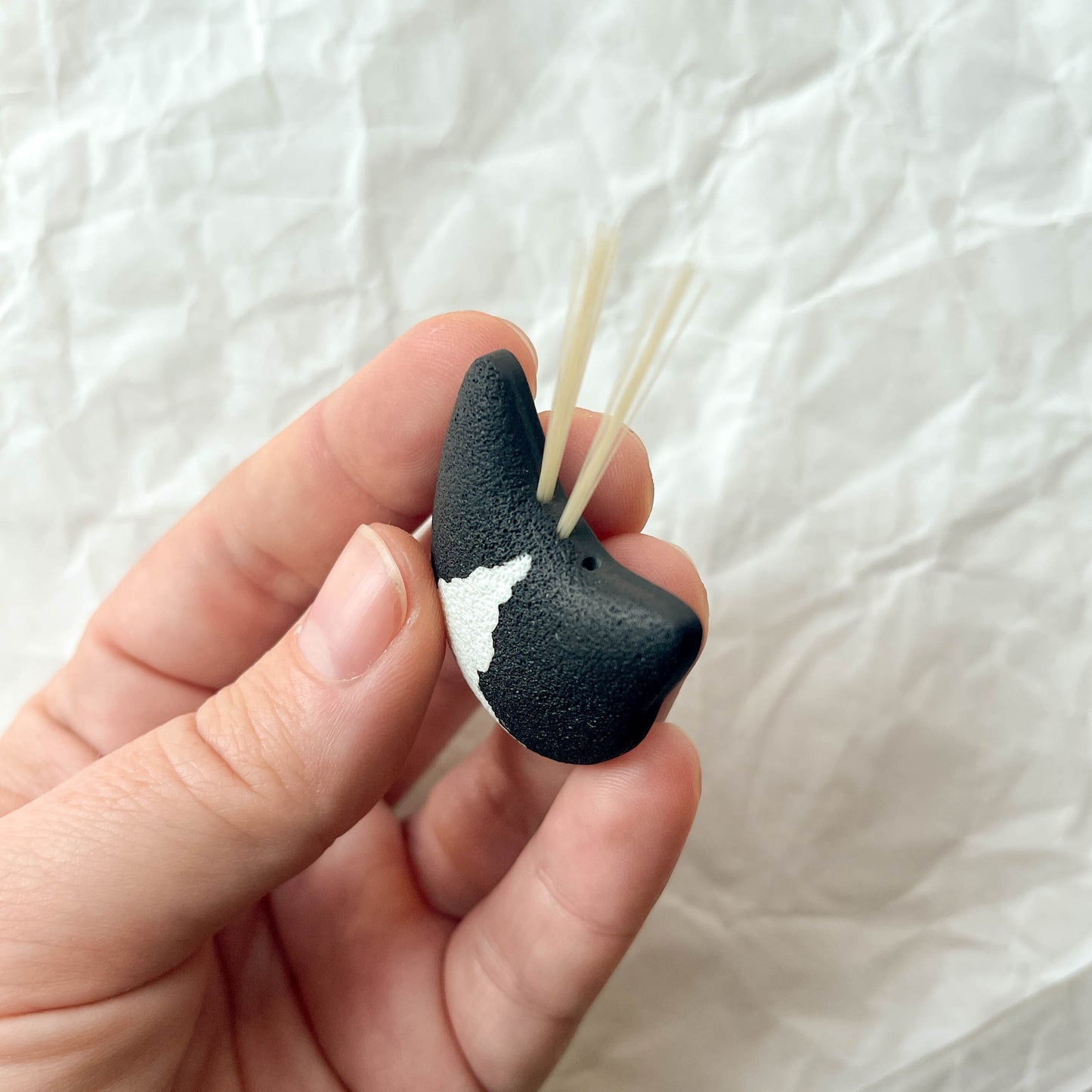 Magnetic cat whisker keeper