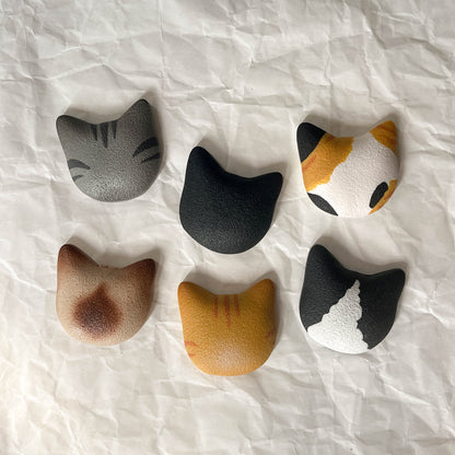 Magnetic cat whisker keeper